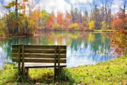 Fülle des Lebens bewusst werden herbst landschaft see wood bench