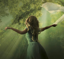 Leben im Einklang mit der Quelle AMORC