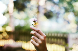 Rituale und ihr Sinn im Alltag gewohnheiten sicherheit mut flower