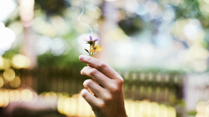 rituale-gewohnheiten-sicherheit-mut-flower