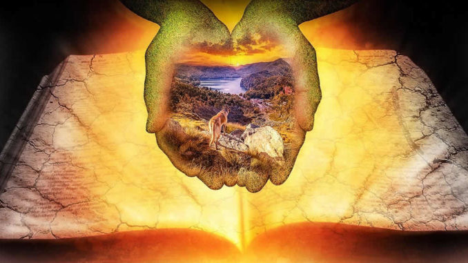 Seele und die Naturwissenschaftbuch-haende-mystik-licht-earth