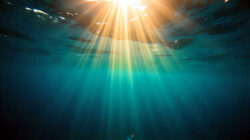 Nouminose am Beispiel von Wasser und Licht