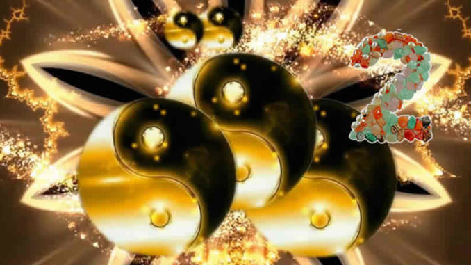 ying-yang-Video-plus-2