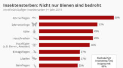 insektensterben-statistika