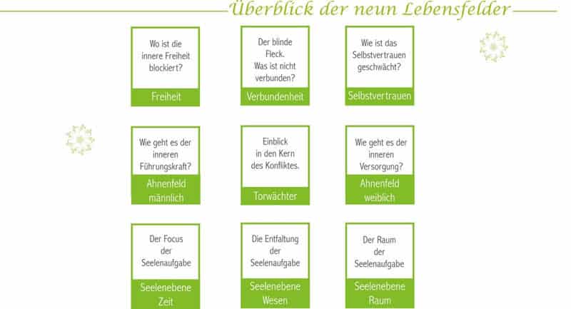 ueberblick-der-neun-Lebensfelder-Kim-Fohlenstein