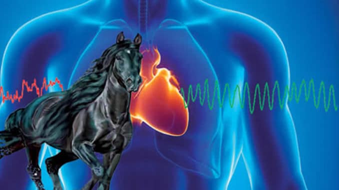 wissenschaft-des-herzens-tattva-viveka-mccraty03