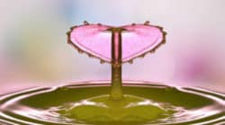 Wenn das Leben selbst die Führung übernimmt