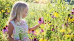 gabe-der-hochsensibilitaet-little-girl