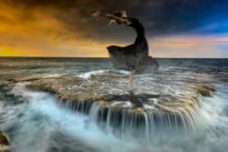 dakini-wilde-archaische-feminine-Urkraft-water