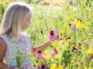 gabe-der-hochsensibilitaet-little-girl