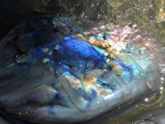 Anja-Tochtermann-Labradorit - Ende der Täuschung - spirit online