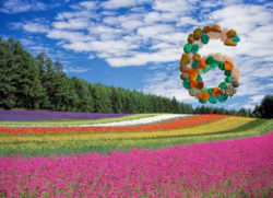 Venus und die Zahl 6 editha wuest blumenfeld