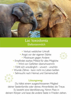 kim-fohlenstein-karte-Lac-Loxodonta