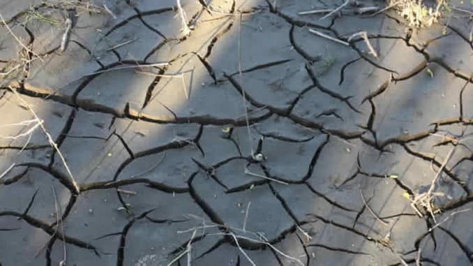 fred-hageneder-elbufer-april-2019