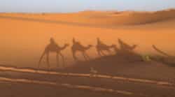 Marokko-ethnoTOURS-Alexandra-Stenner-desert