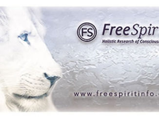 Grundkurs-free-spirit