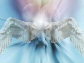 Tor-zur-Engelswelt-Initiation-Seminar-Ausbildung-Mary-Zapiti-heart