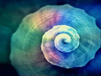 prinzip-der-entsprechung-dritte-universelle-gesetz-snail