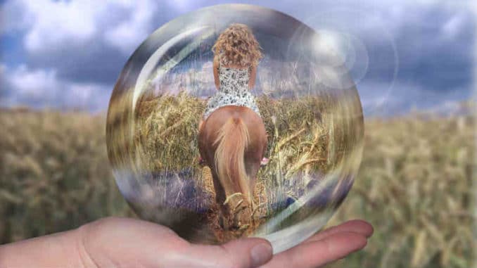 Karma-zwischen-Mensch-und-Tier-horsewoman