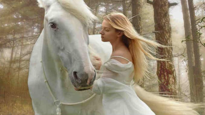 810-450-in-der-stilleMein Tier verstehen-tierkommunikation-gothik