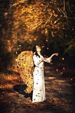 von alten Lasten befreien-Engel-Blaetter-wald