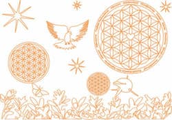 Bio Baumwolldecken natur apricot siebert Achtsamkeit