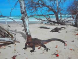 wunder-Kukulkan-reisen-schneickert-gal191