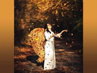 Zapiti-Beitrag-Channeling-Nov