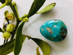 Türkis-editha-wuest