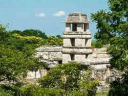 reisebericht mexiko Kukulkan Reisen ruine dschungel