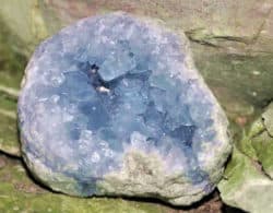Coelestin Bedeutung tochtermann coelestin