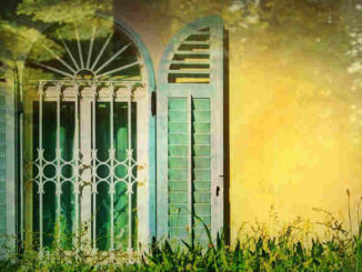 macht-bild-wald-licht-fensterrahmen-window