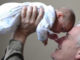 oma opa-enkel-baby-grandfather