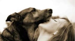 Urlaub mit Haustier schmusender Hund mit Frau