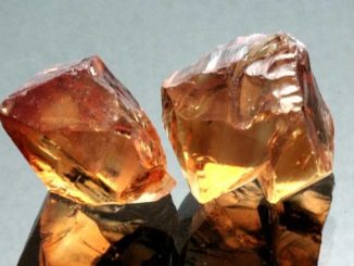 Citrin-Bewusstsein-Immunität-gems