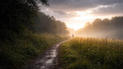 Krisen verstehen matschiger Waldweg mit Sonne im Hintergrund