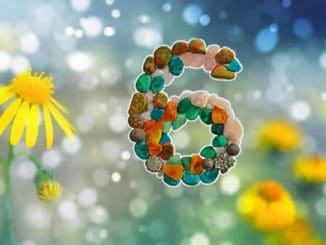 Wuest-sechs-Blueten-garten-liebe-flowers