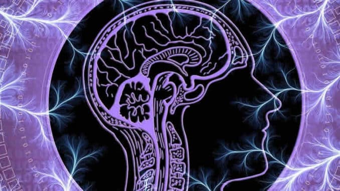 intelligente-zellen-kopf-gehirn-energie-wellen