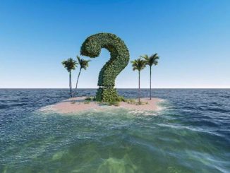 insel-palmen-fragezeichen-question-mark