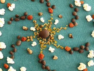 stein-grid-bunt-kira-klenke-zwei