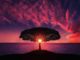 Baum-am-Meer-im-Abendrot-tree