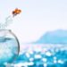Fisch springt aus Glas menzel