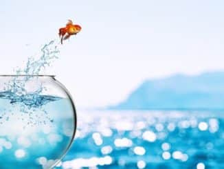 Fisch springt aus Glas menzel