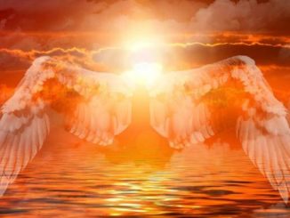 gott-engel-fluegel-angel