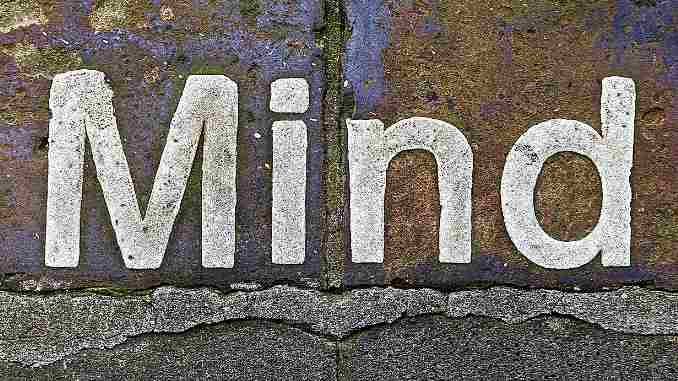 fehler-irrtum-mind