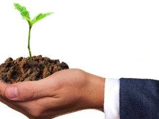 gemeinwohloekonomie-wirtschaft-natur-hand-pflanze-germ