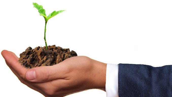gemeinwohloekonomie-wirtschaft-natur-hand-pflanze-germ
