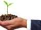 gemeinwohloekonomie-wirtschaft-natur-hand-pflanze-germ