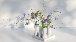 Wohlfühloase blumen vase energetisch wohnen flower