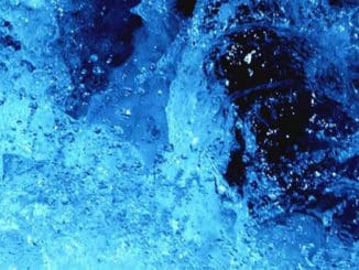 Bormia-nadeen-althoff-Wasser-Wissen-7